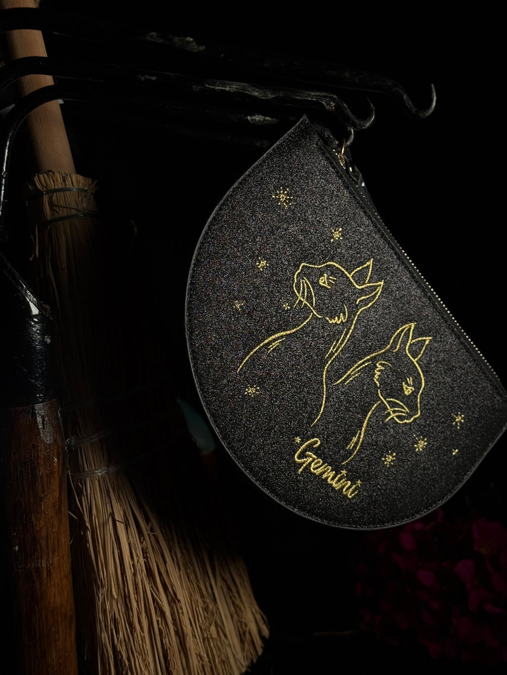 Astro Pouch